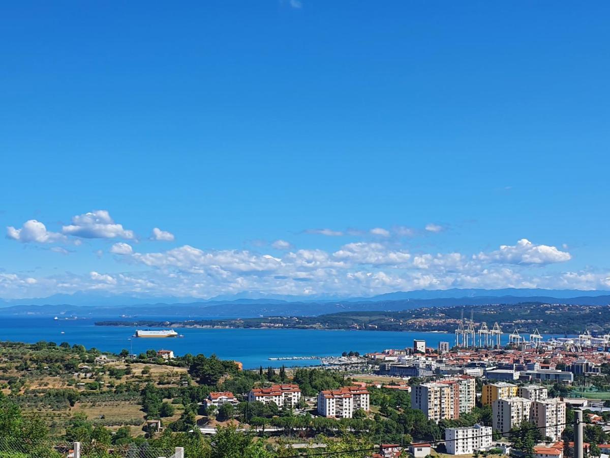 Apartma Maja, Mateja Koper Bagian luar foto